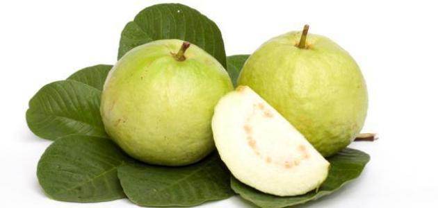 فوائد ورق الجوافة للكحة