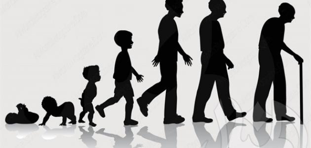 مراحل نمو الإنسان من الطفولة إلى الشيخوخة