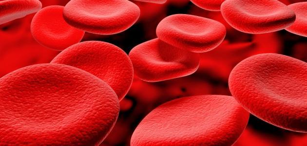 أسباب زيادة عدد كريات الدم الحمراء