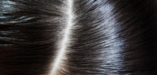 خطوات عمل بروتين الشعر