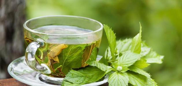 فوائد الشاي الأخضر بدون سكر