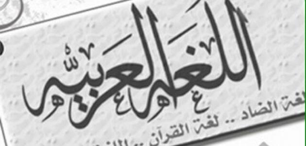 أهمية اللغة العربية ومكانتها