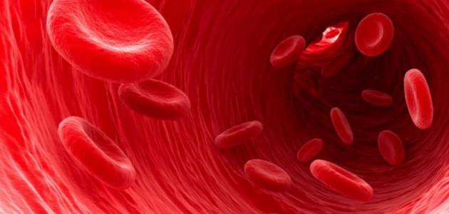 ما هي وظائف الدم