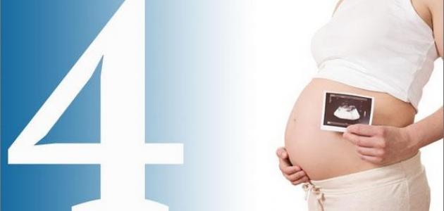 مراحل نمو الجنين في الشهر الرابع