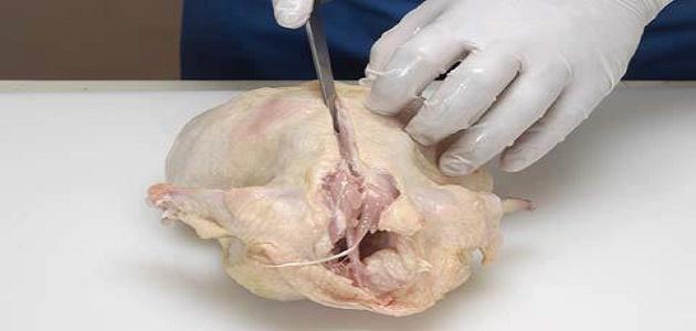 طريقة نزع العظم من الدجاج