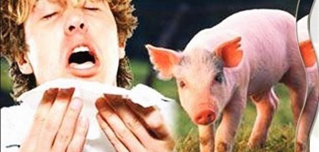 الوقاية من إنفلونزا الخنزير