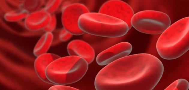 وصفات لعلاج فقر الدم الحاد