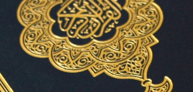 كم عدد أحزاب القرآن