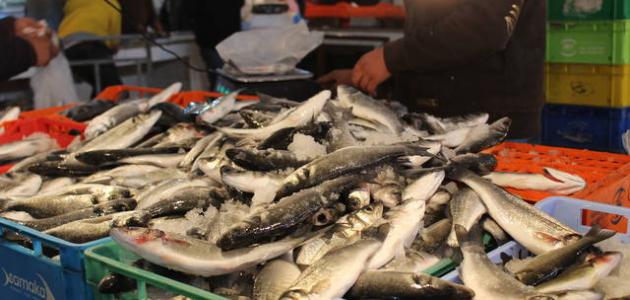 الصيد البحري في تونس