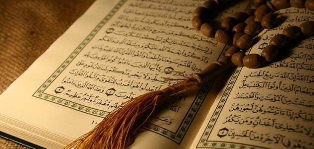 مراحل نمو الجنين في القرآن