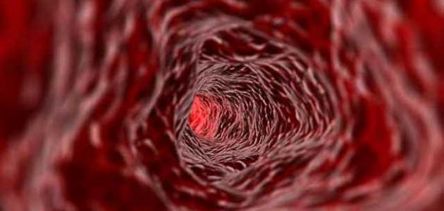 عدد كريات الدم الحمراء في جسم الإنسان