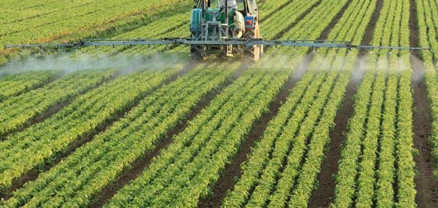 أهمية الزراعة في الوطن العربي