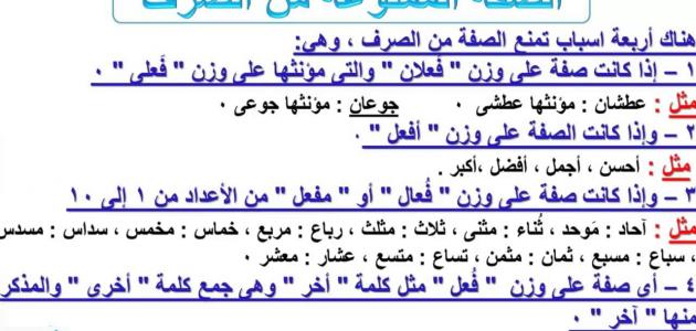الصفة في اللغة العربية