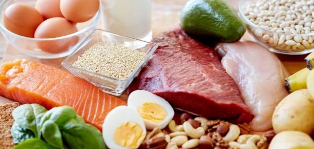 البروتينات لزيادة الوزن