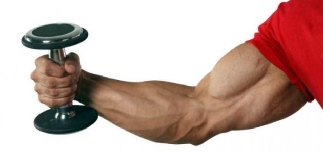 كيف أبرز عضلات اليد