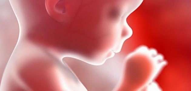 كيف تكون وضعية الجنين في الشهر السابع