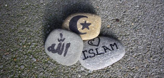 مفهوم عالمية الإسلام