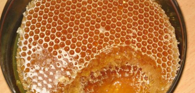 فوائد عسل السدر