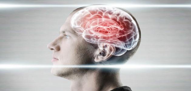 الفرق بين المخ والعقل