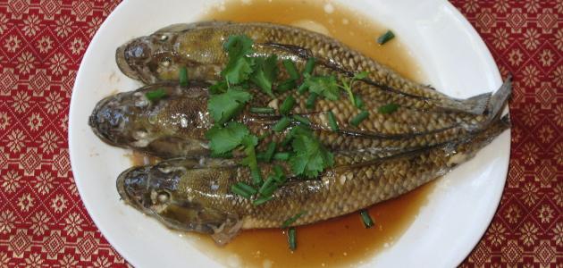 سمك الباسا الفيتنامي