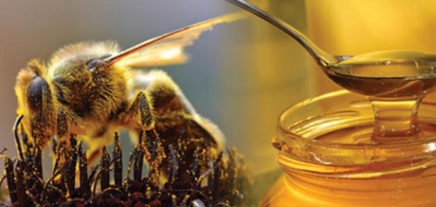 تعريف سورة النحل