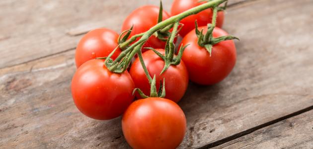 طريقة حفظ الطماطم لفترة طويلة