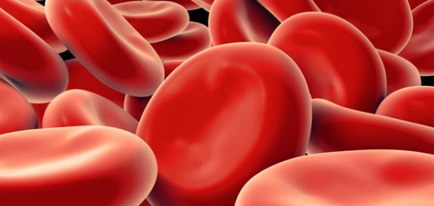 وصفات طبيعية لعلاج فقر الدم