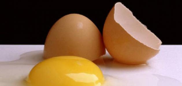 فوائد البيض للشعر مع الحناء