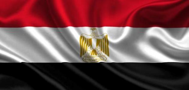 تعبير عن حب مصر والانتماء لها