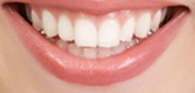 عدد أسنان الإنسان العادي