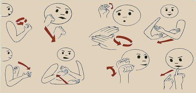 تعريف لغة الإشارة