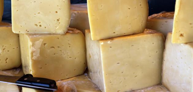 كيف تصنع الجبن من الحليب