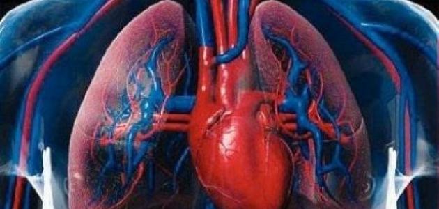 ما هو مرض ضعف عضلة القلب