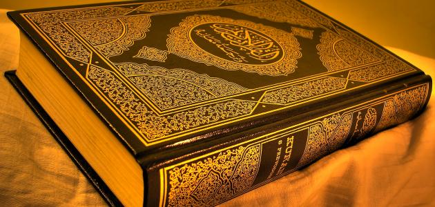 ما عدد السجدات في القرآن الكريم