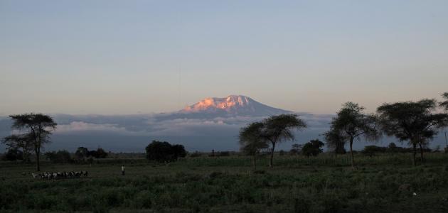 ما هو أعلى جبل في إفريقيا