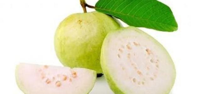 فوائد الجوافة