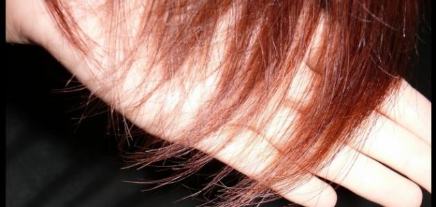 كيفية علاج الشعر المتقصف