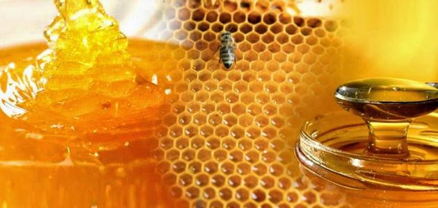 أنواع عسل النحل