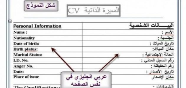 كيفية عمل سيرة ذاتية بالعربية