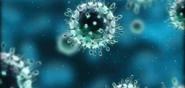 ما هو فيروس الكورونا