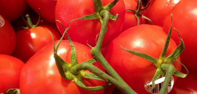 ما اصل كلمة طماطم