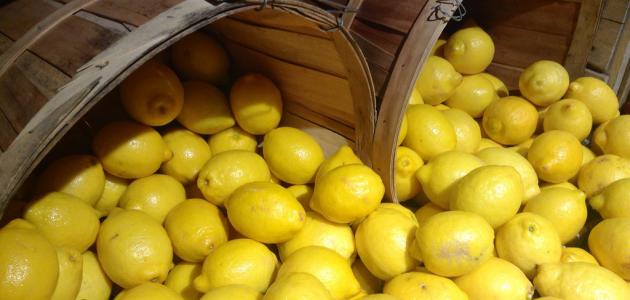 تموج النيكوتين دجاجة  طريقة حفظ الليمون - حروف عربي