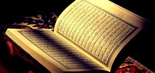 عدد قراءات القرآن