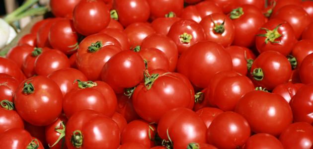 ما هي فوائد الطماطم