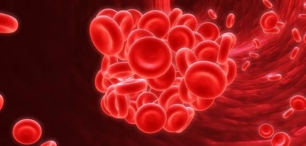 ما هي أعراض زيادة الدم في الجسم