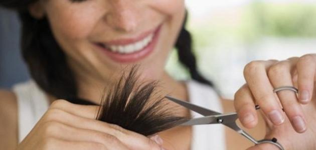 كيفية حماية الشعر من التقصف
