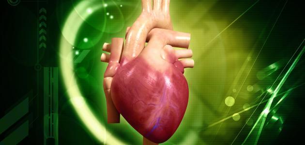 ما هو علاج ضعف عضلة القلب