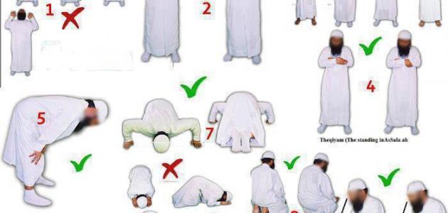 كيفية الصلاة الصحيحة للرجال