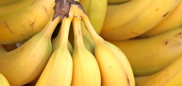 ما هو فوائد الموز