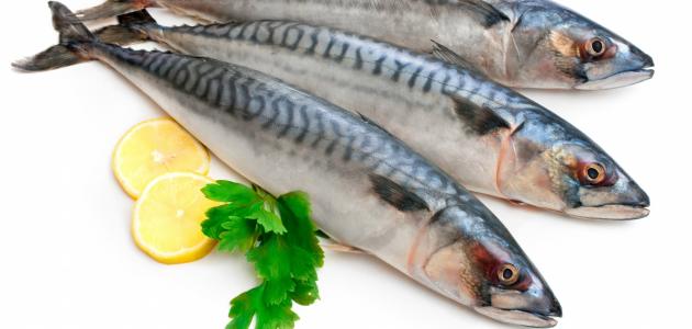 ما فوائد سمك السردين